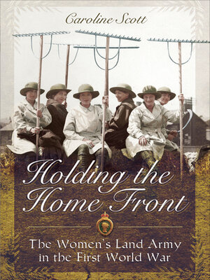 cover image of Holding the Home Front